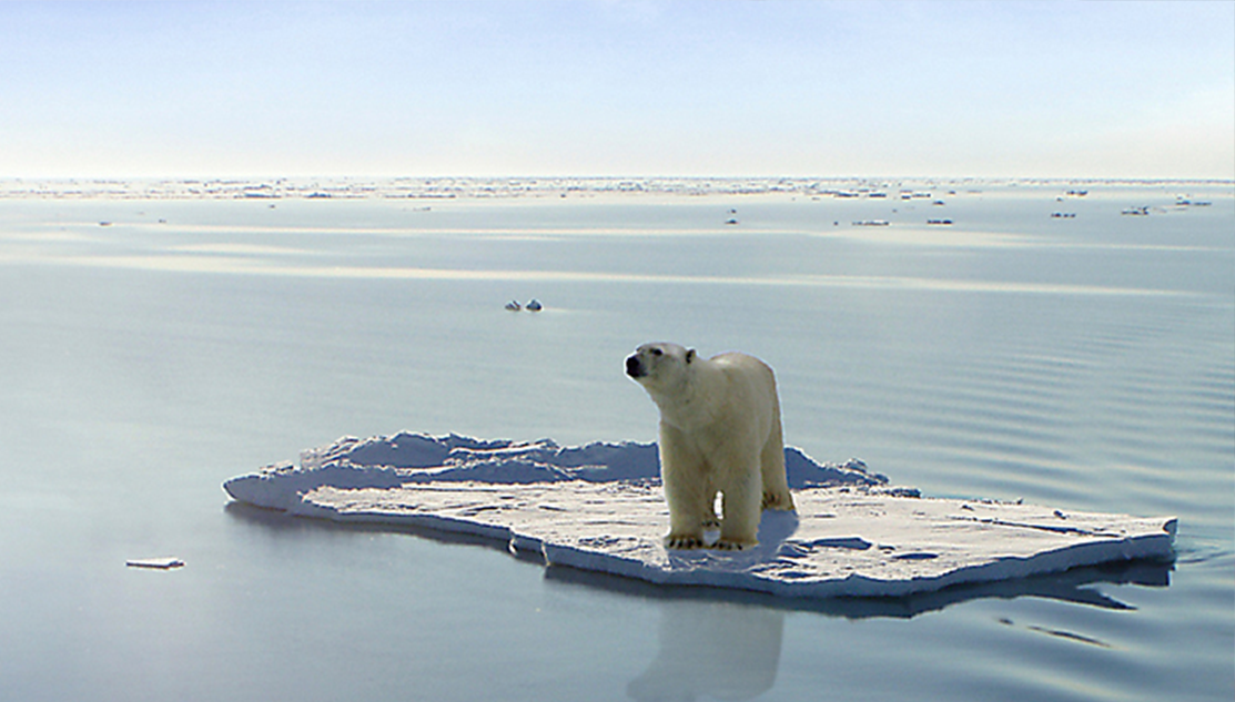 Cambiamenti climatici, questo il tema del dibattito all’Officina H questa sera