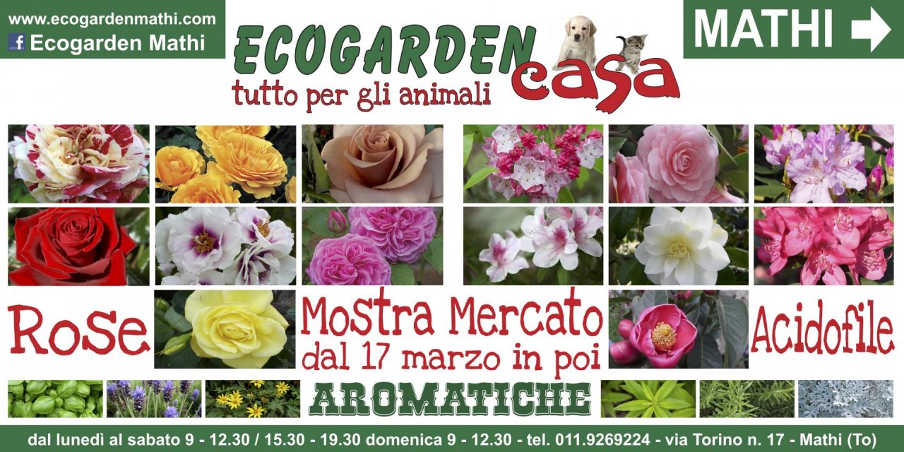 La primavera arriva prima da Ecogarden Mathi