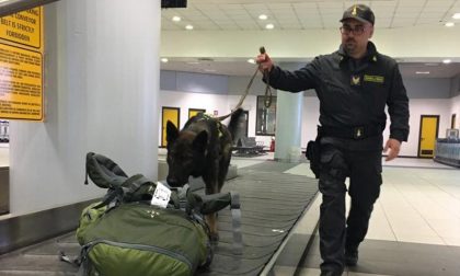 Soldi nascosti nei bagagli, due persone fermate
