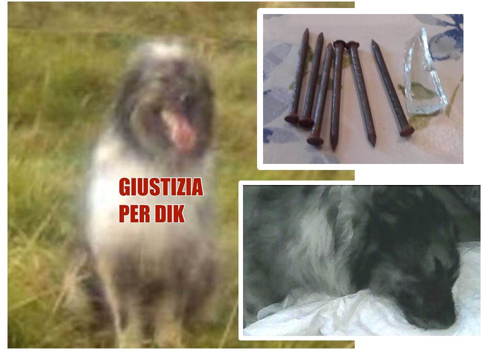 Morte Dik le parole del sindaco di Borgiallo