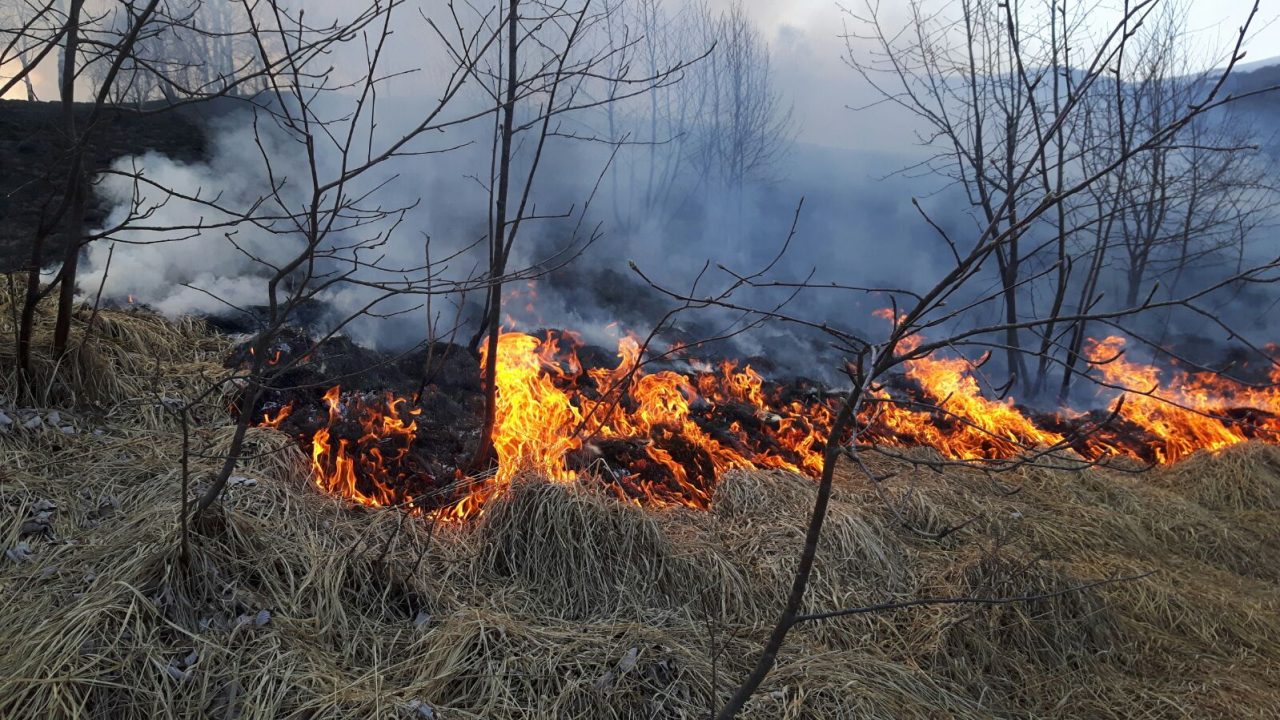 Incendio Canischio inizia la stagione dei roghi