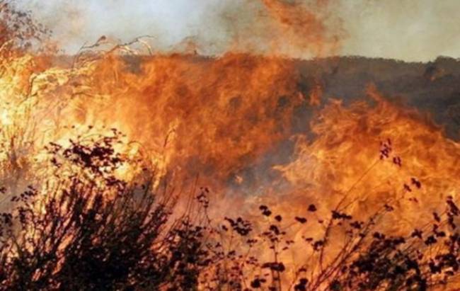 Provoca incendio bruciando sterpaglie, denunciato torinese