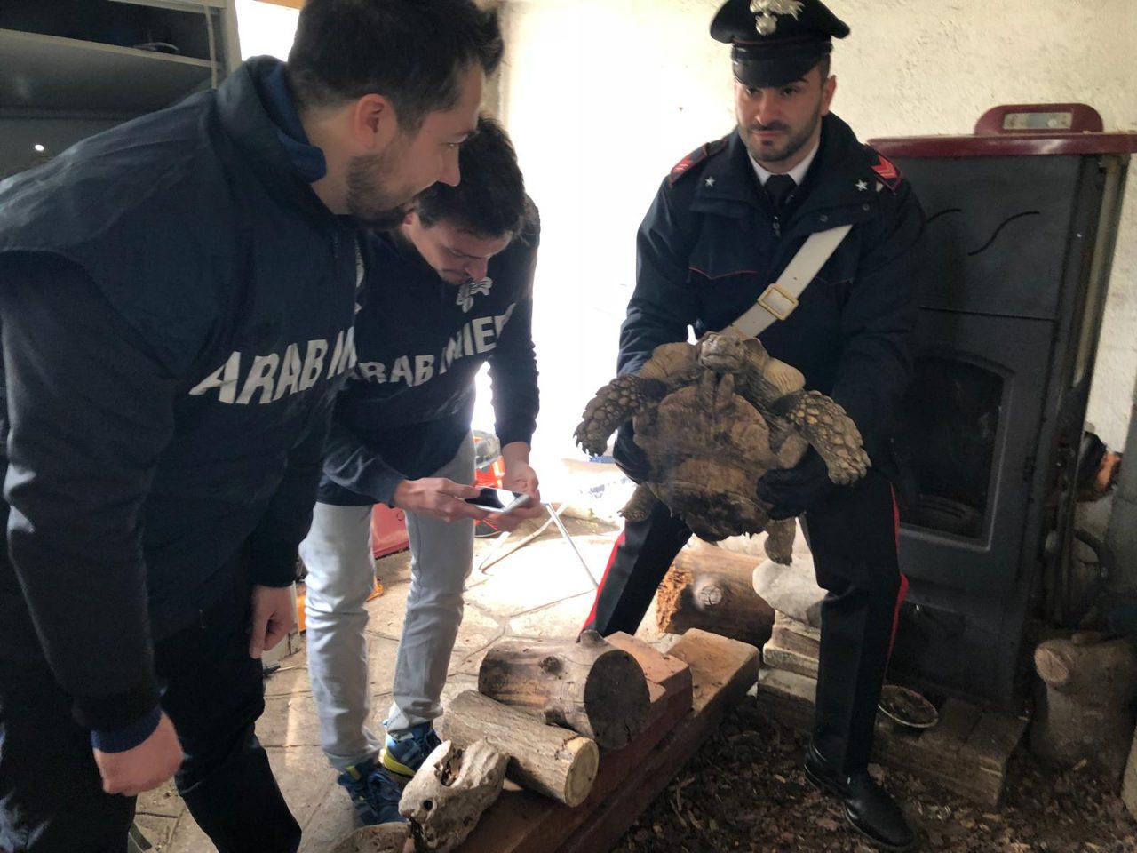 Sequestrate tartarughe a Rivoli: 46enne deteneva specie rare e protette