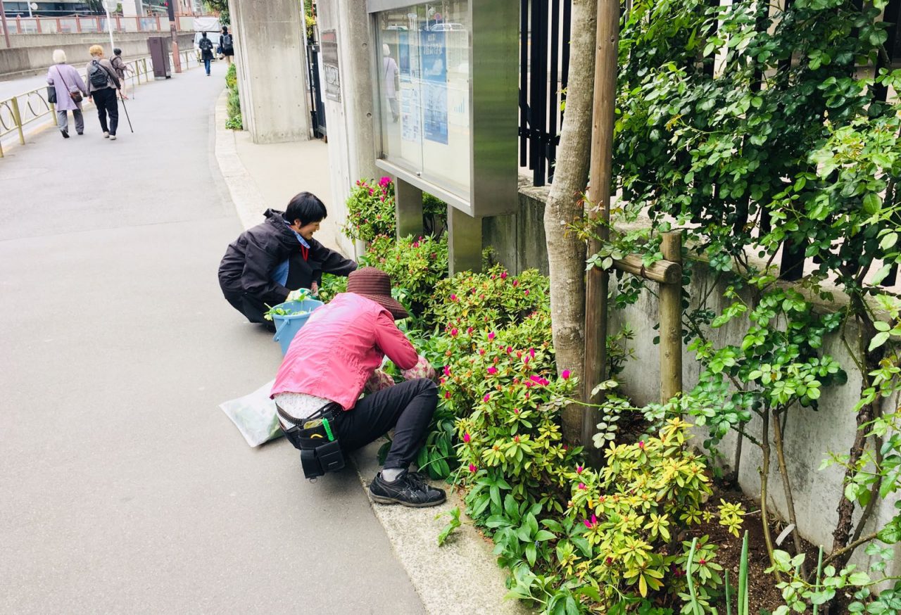 Cuorgnè copia Tokyo