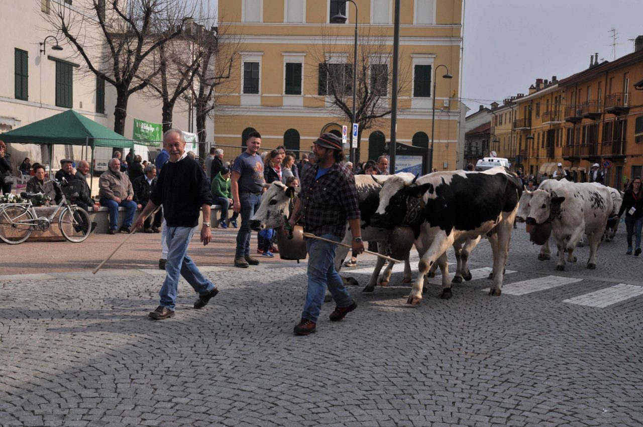 Fiera Agricoltura e commercio tra passato e futuro 2018 a Caselle