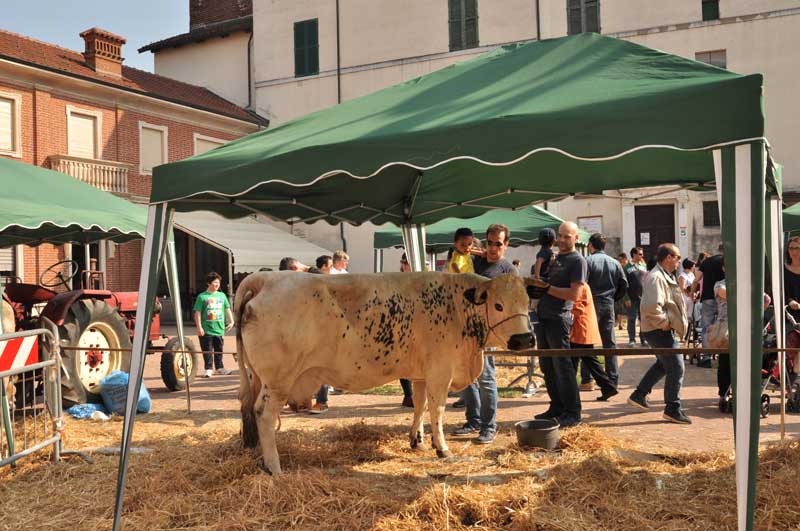 Agricoltura e Commercio. La fiera ritorna a Caselle oggi domenica 8 aprile