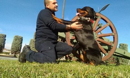 Ragazzo scomparso da Ponte Mosca a Torino, si tratterebbe di Diego Urgnani