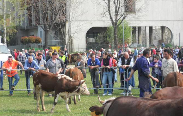 Fiera di Sant’Isidoro, iniziata ieri la 42esima edizione