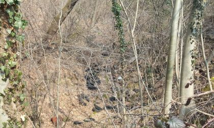 Giornata ecologica Rivara organizzata dai Volontari Ambientali