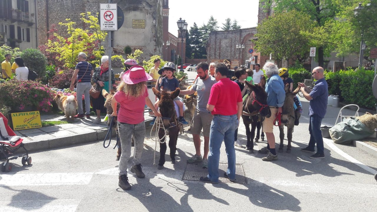 Florarte prima tappa oggi a Castellamonte