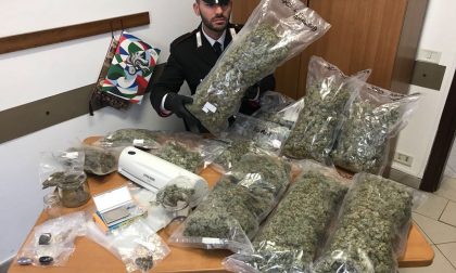 Rappresentate di marijuana arrestato a Leini, viaggiava con la staffetta | VIDEO