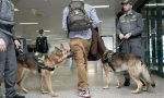 Atterrano foglie di coca in aeroporto