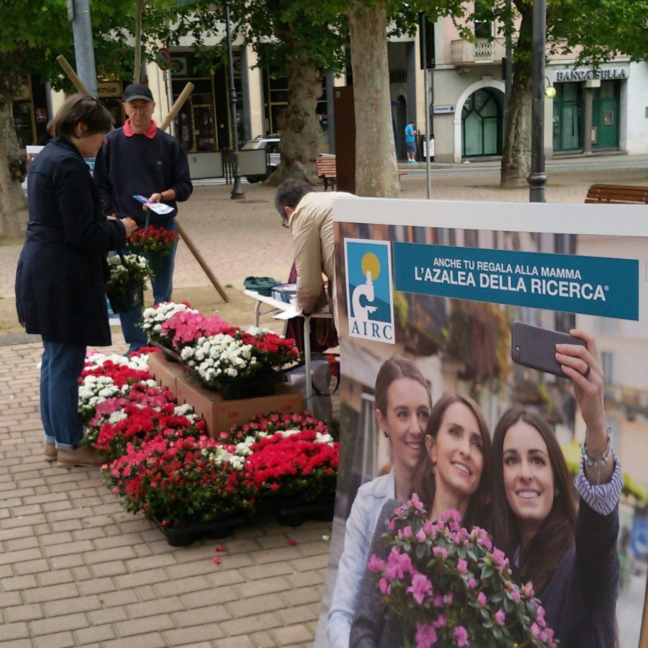 Azalee in piazza contro il cancro, a Cuorgnè