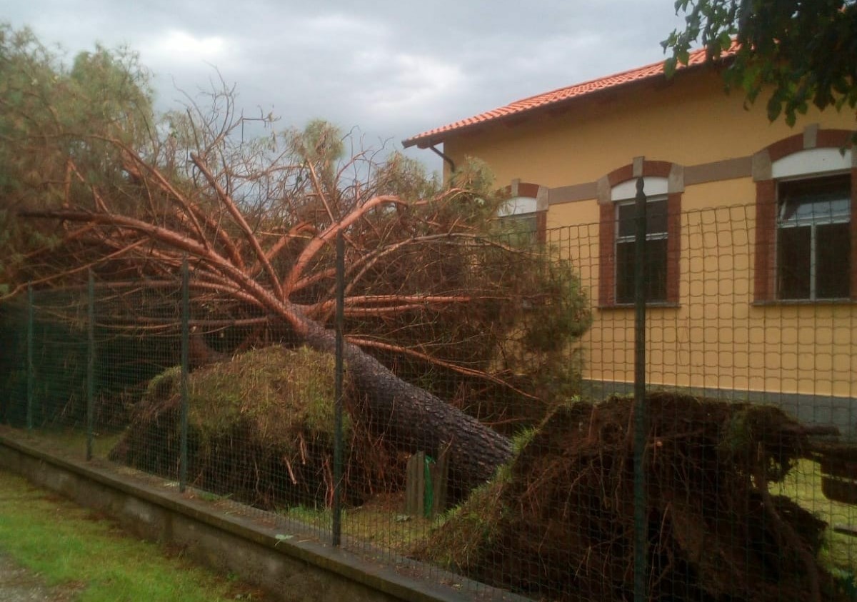 Nubifragio  danni sulla Vauda