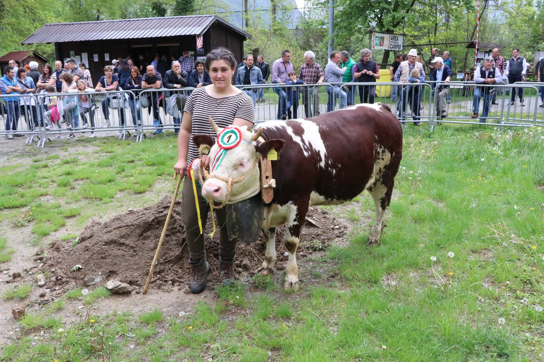 Rassegna Zootecnica a Locana parecchio partecipata