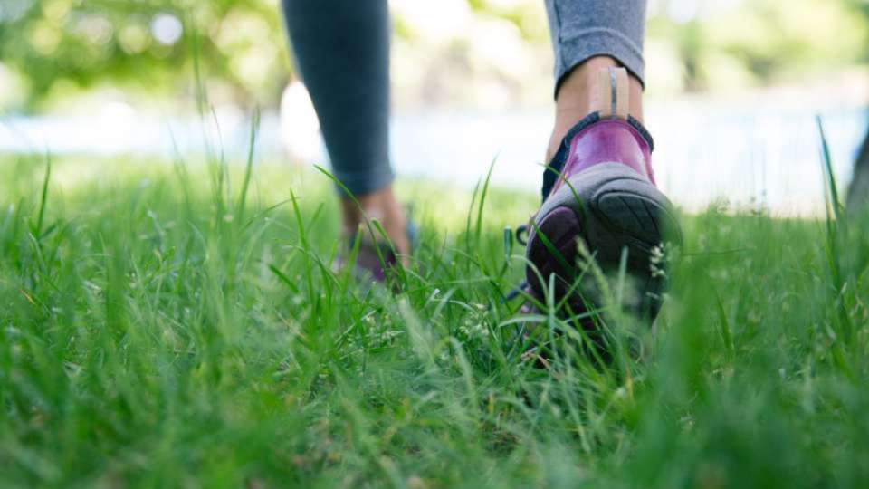 Passeggiata nella Vauda domani
