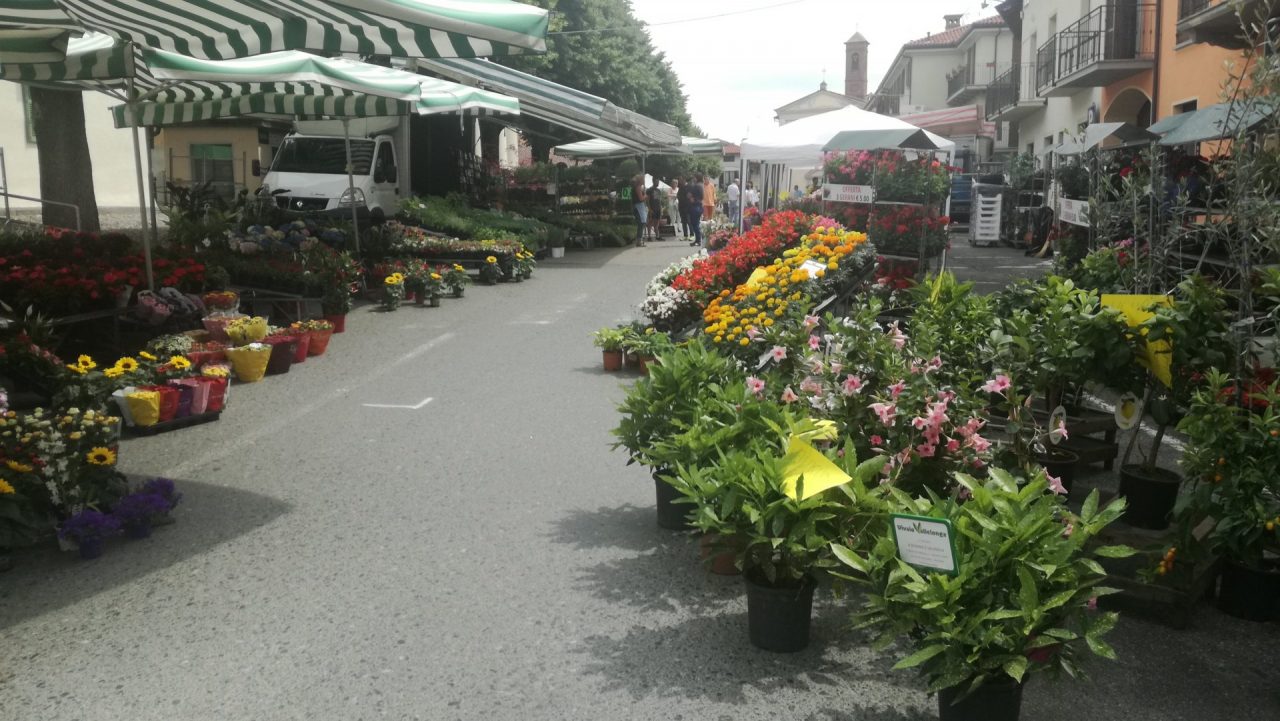 Ozegna in fiore nel pomeriggio vari eventi