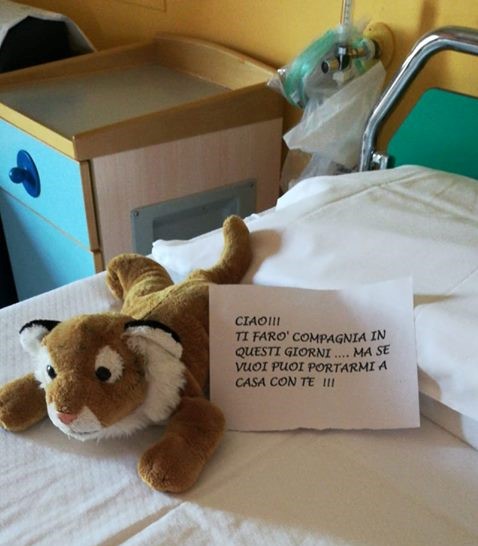 Cercasi peluche per la Pediatria vercellese