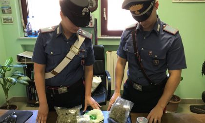 Controlli straordinari dei carabinieri per Alta Felicità, sequestrata droga
