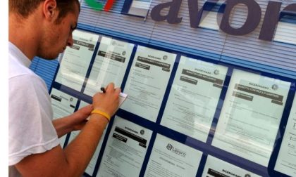 Ricerca lavoro: i 15 profili più richiesti nel 2022