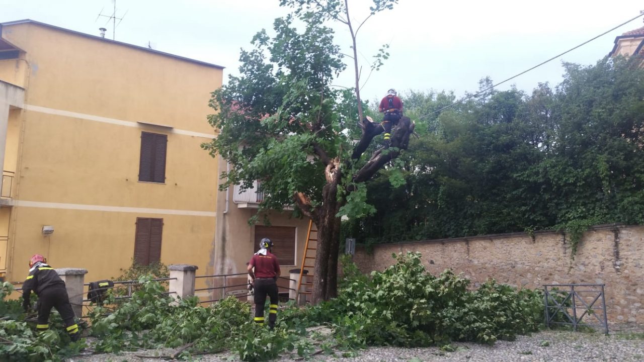 Raffiche di vento a Castellamonte: albero crollato vicino a palazzo Botton