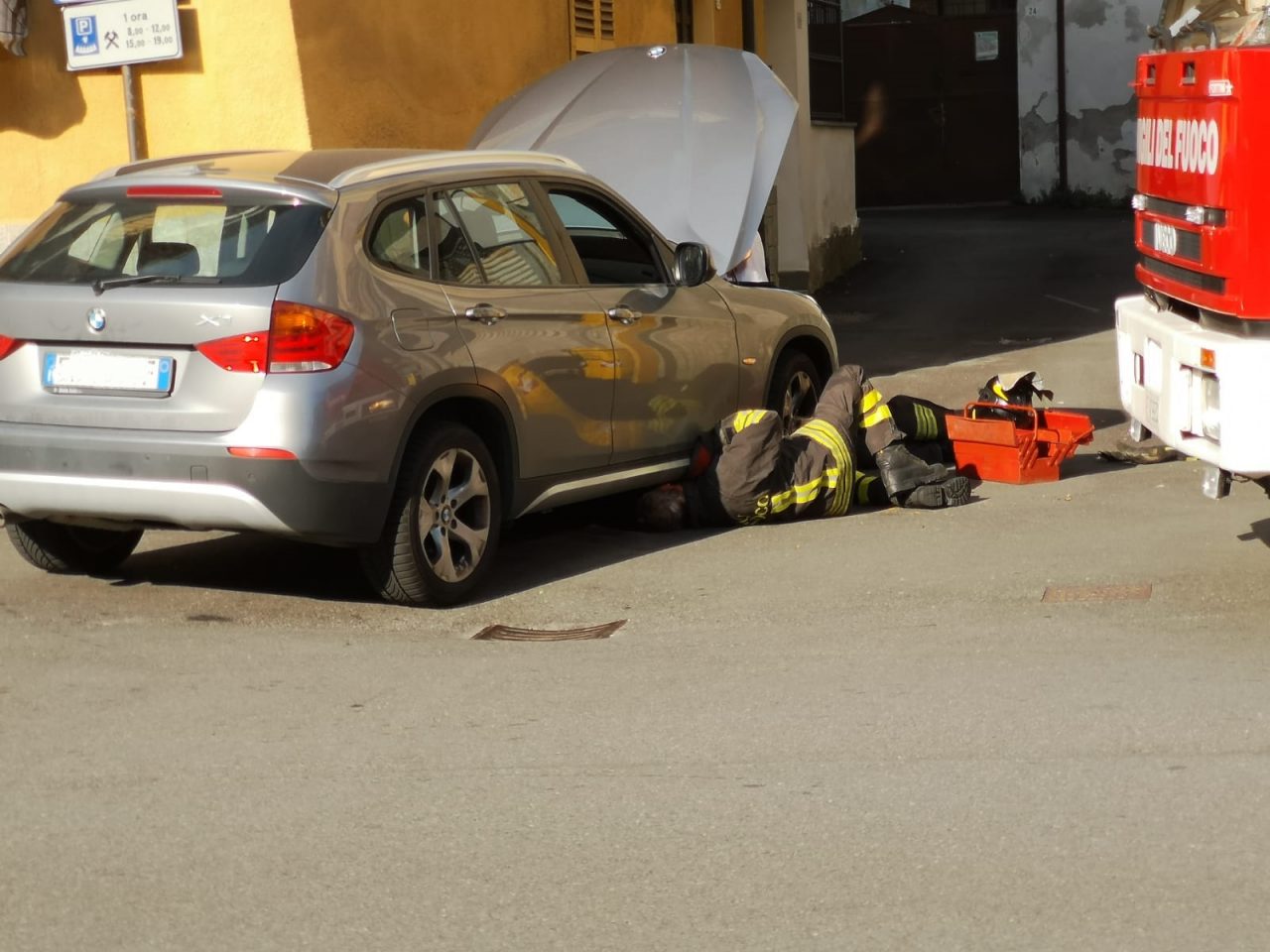Serpente in auto attimi di paura ieri a Favria