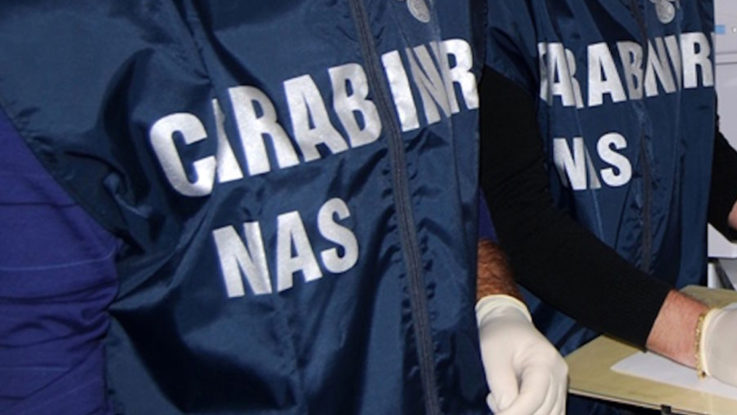 Insetti nel cibo: chiuso ristorante cinese a Lanzo dopo blitz dei carabinieri