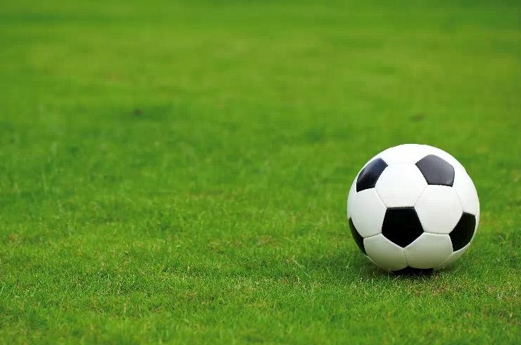 Calcio Borgaro Nobis sfida oggi pomeriggio la Juve Primavera