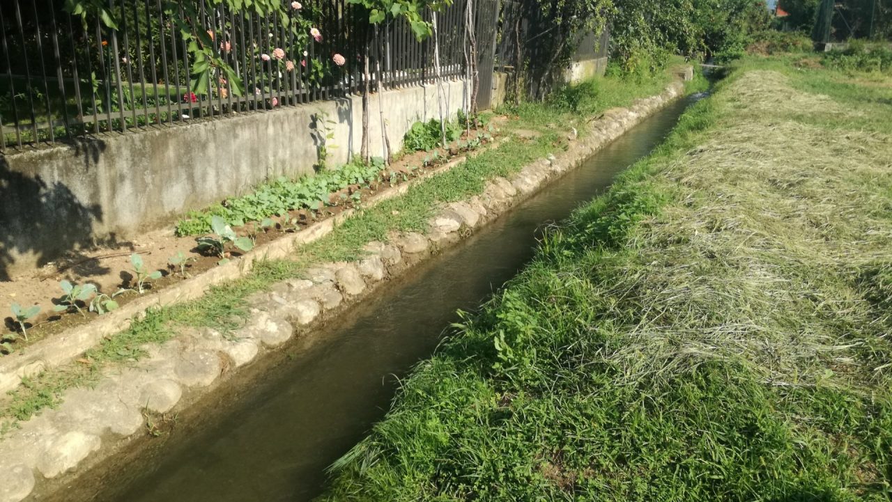 Roggia piena di arbusti e sterpaglie, a Favria i cittadini chiedono l’intervento del consorzio