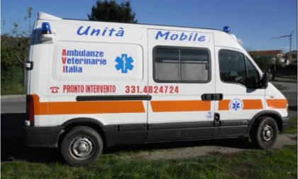 Ambulanze veterinarie in arrivo anche in Piemonte