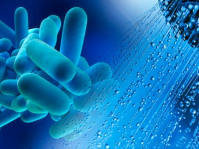 Legionella a Torino: morta 61enne