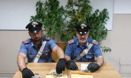 Piantagione di Cannabis in frazione Spineto: 35enne arrestato