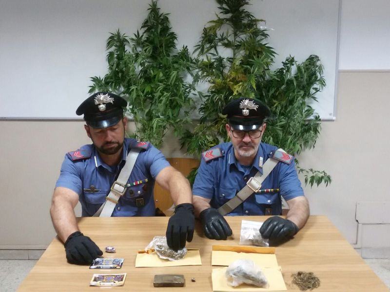 Piantagione di Cannabis in frazione Spineto: 35enne arrestato
