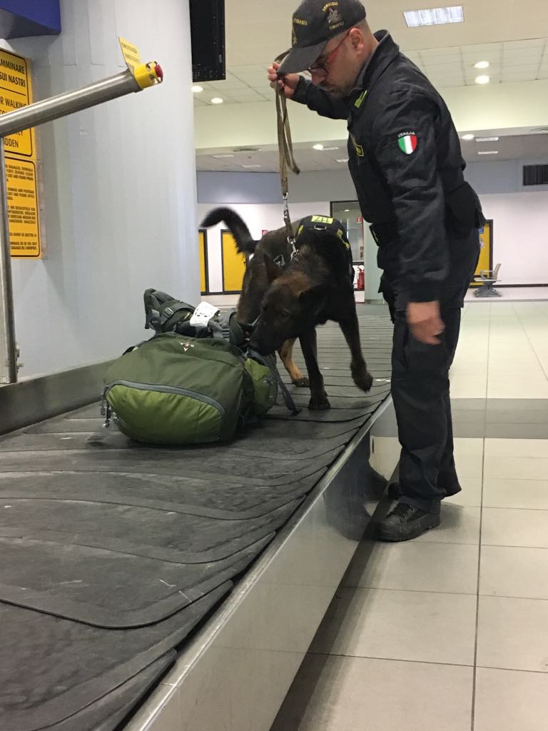 Denaro contante in aeroporto fiutati dal cash-dog oltre un milione e mezzo di euro