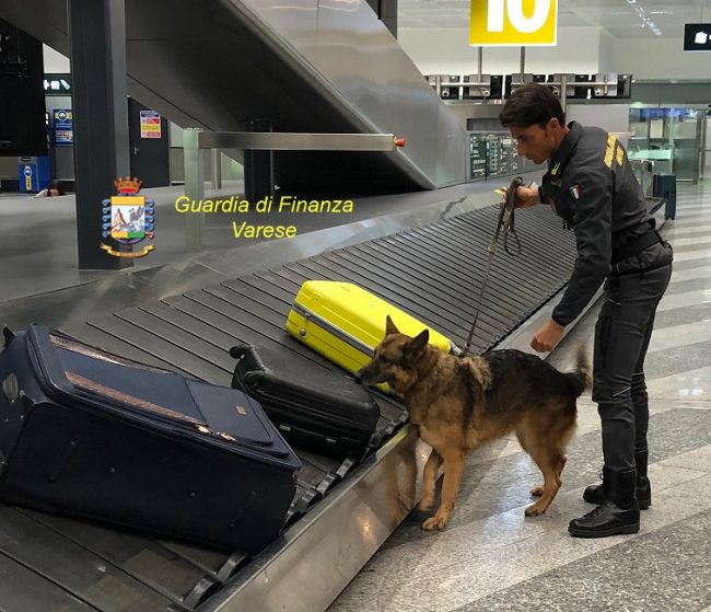 Traffico internazionale stupefacenti, sequestrati oltre 18 kg di cocaina | VIDEO