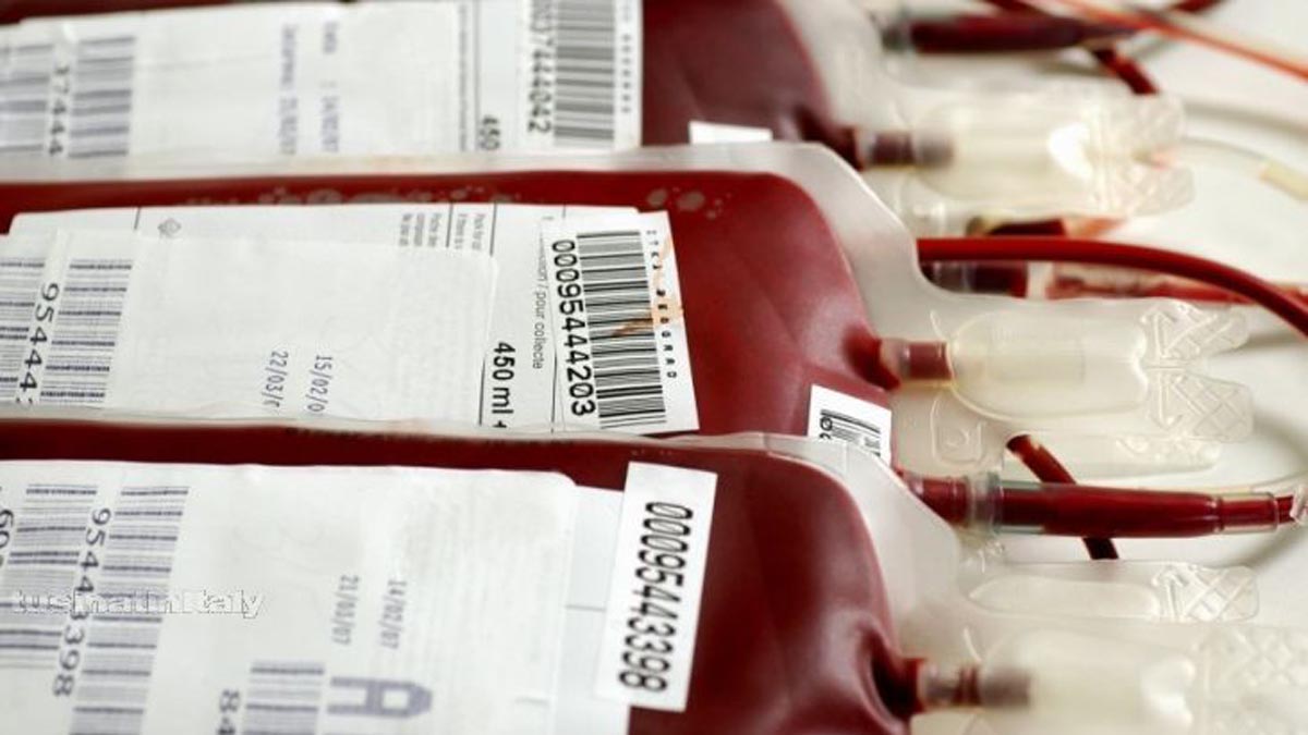 Virus West Nile donatori trovati positivi al virus