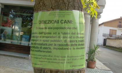 Avvisi a San Giusto per raccogliere le deiezioni canine