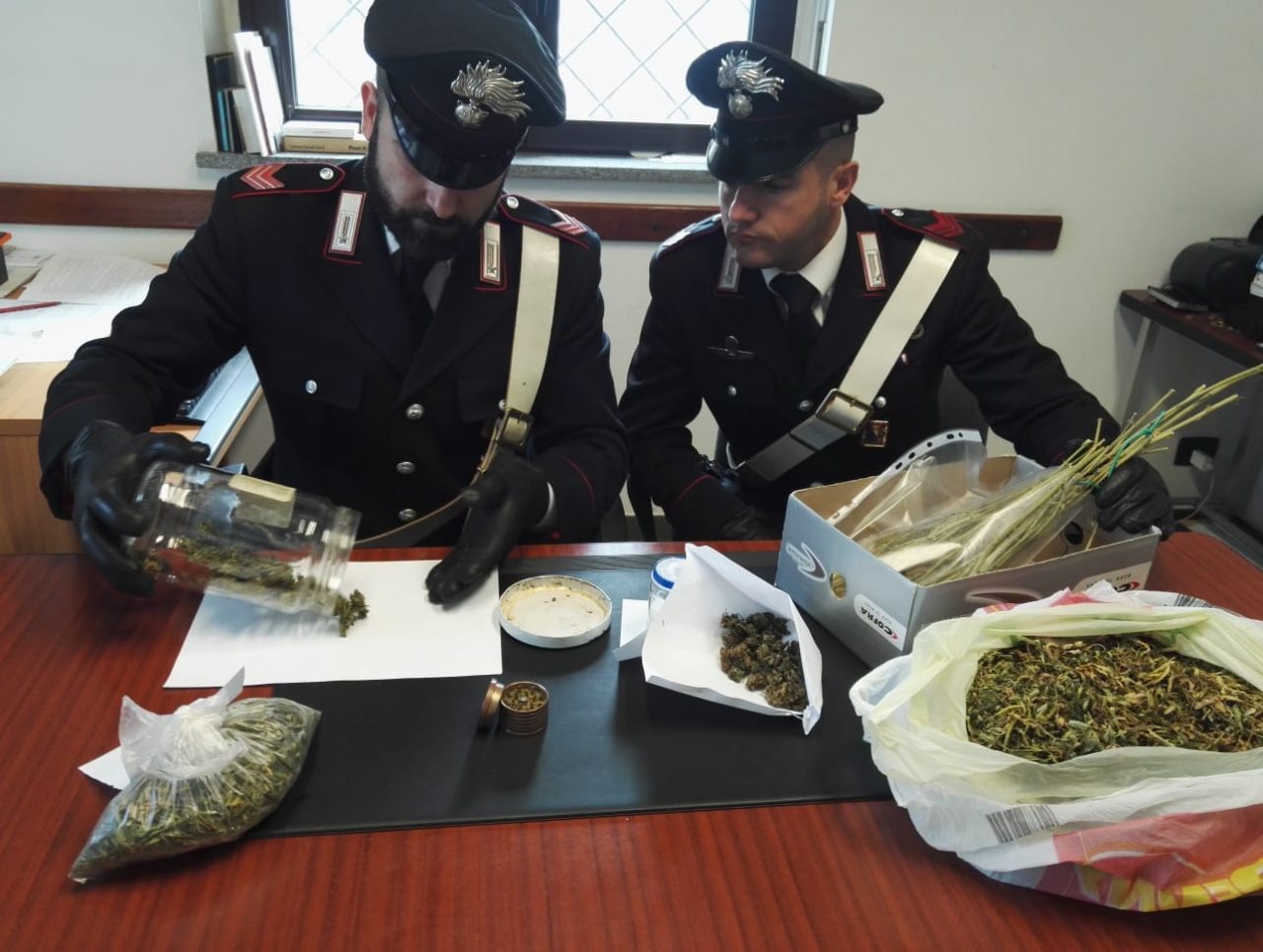 Trovato con 200 grammi di marijuana in casa: 34enne canavesano denunciato