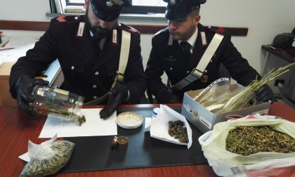 Trovato con 200 grammi di marijuana in casa: 34enne canavesano denunciato