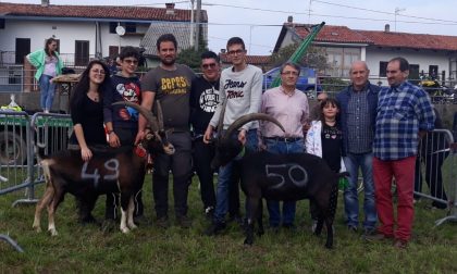 Grande successo a Spineto per la rassegna caprina e il calcio balilla umano