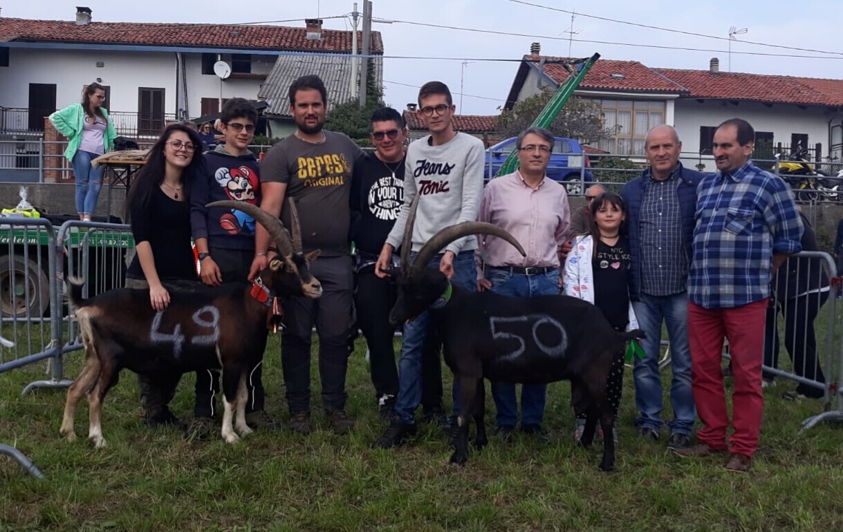 Grande successo a Spineto per la rassegna caprina e il calcio balilla umano