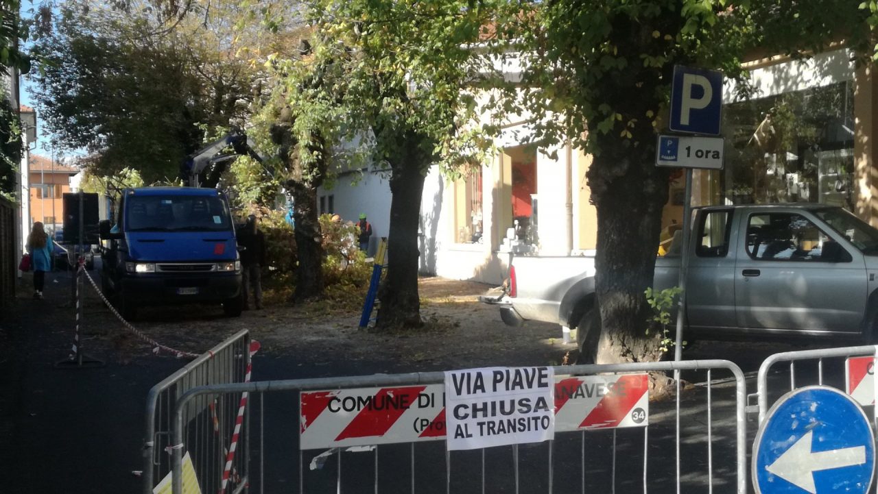 Taglio degli alberi a Rivarolo, monta la polemica in città