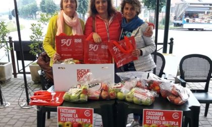 La Mela di Aism: lombardoresi in piazza per far "sparire" la sclerosi multipla