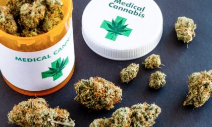 Cannabis terapeutica: in Piemonte triplicato l’uso