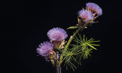 Ikebana-la via dei fiori, mostra al Museo Garda a Ivrea