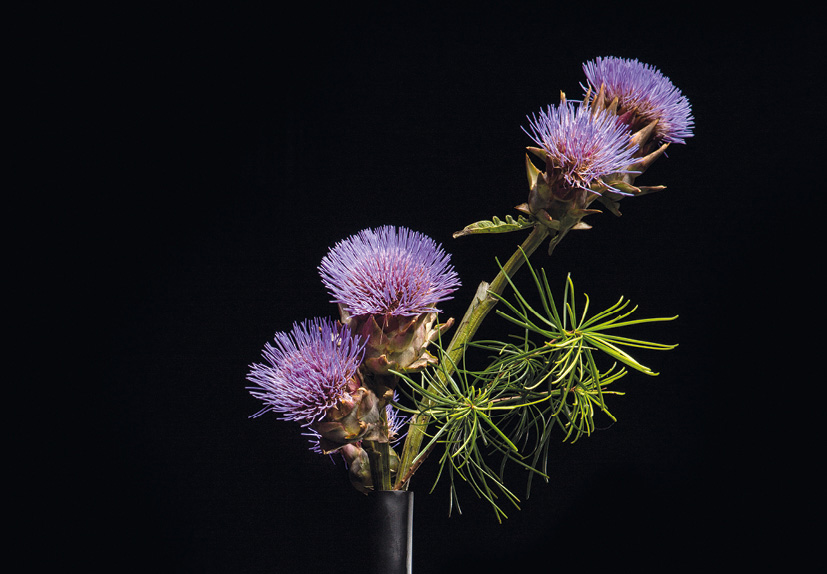 Ikebana-la via dei fiori, mostra al Museo Garda a Ivrea