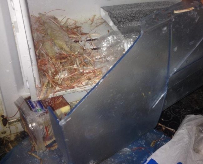 Pesce mal conservato al ristorante: titolare denunciato dalla Polizia municipale