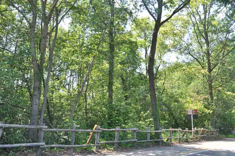 Nuovo percorso ciclabile recuperando il sentiero delle Rivasse
