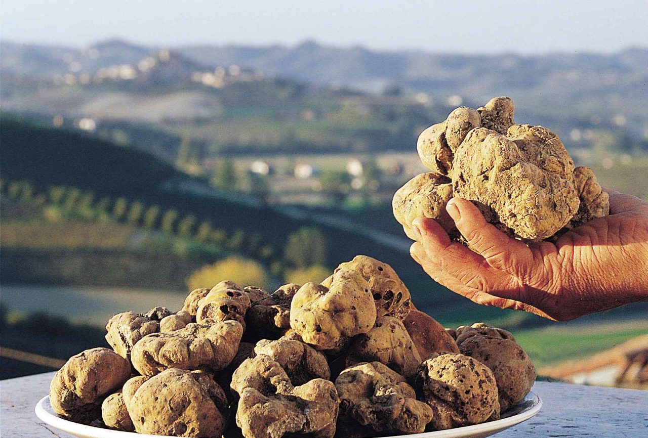 Prezzo tartufo in calo rispetto allo scorso anno