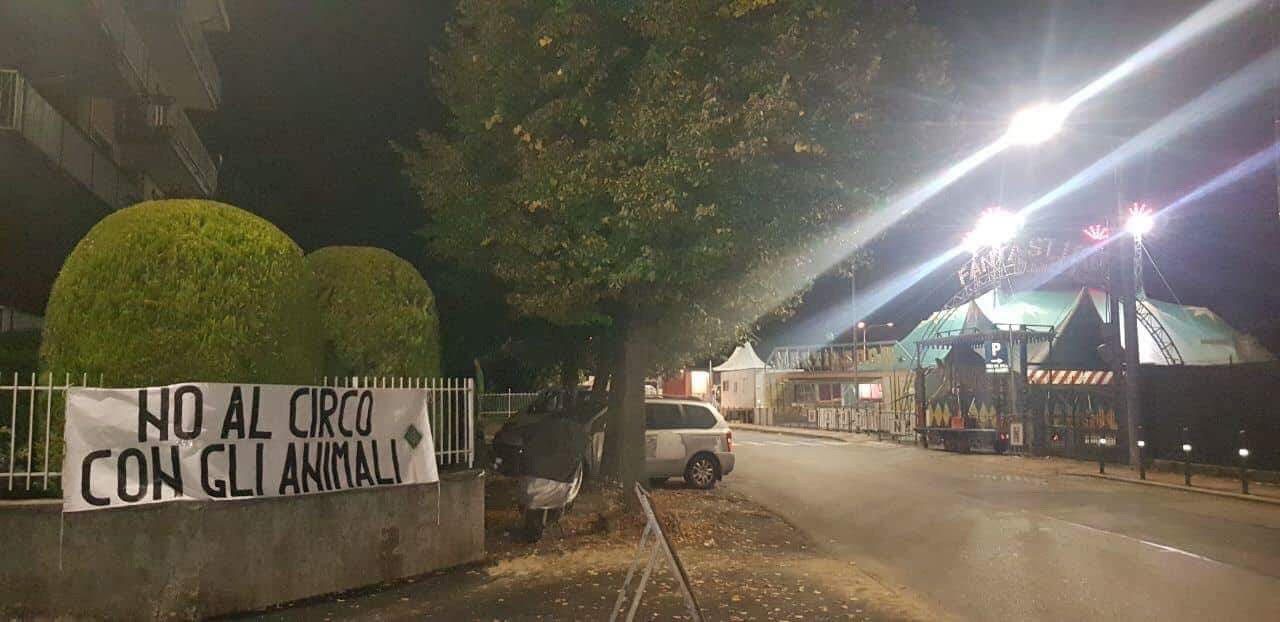 No al circo con gli animali: lo striscione  a Ciriè e San Carlo
